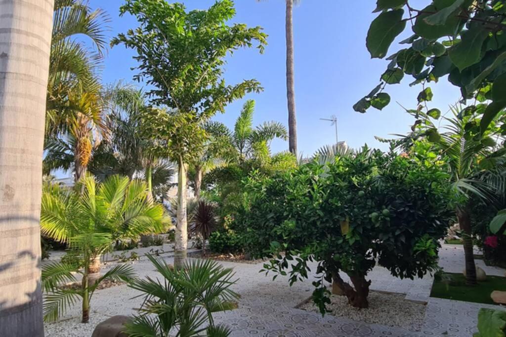 Tropical Paradise Villa In Torrevieja Exterior photo