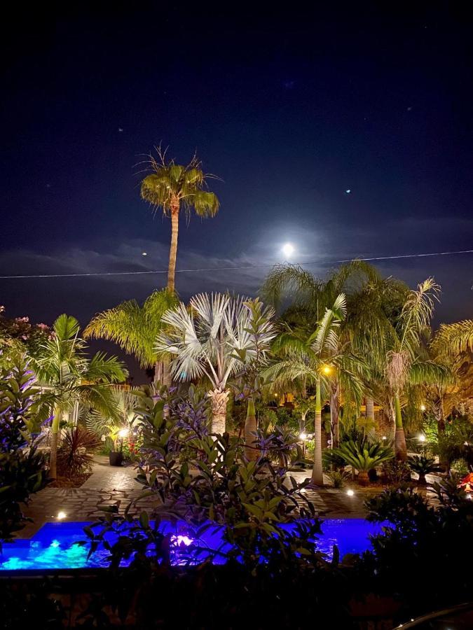 Tropical Paradise Villa In Torrevieja Exterior photo